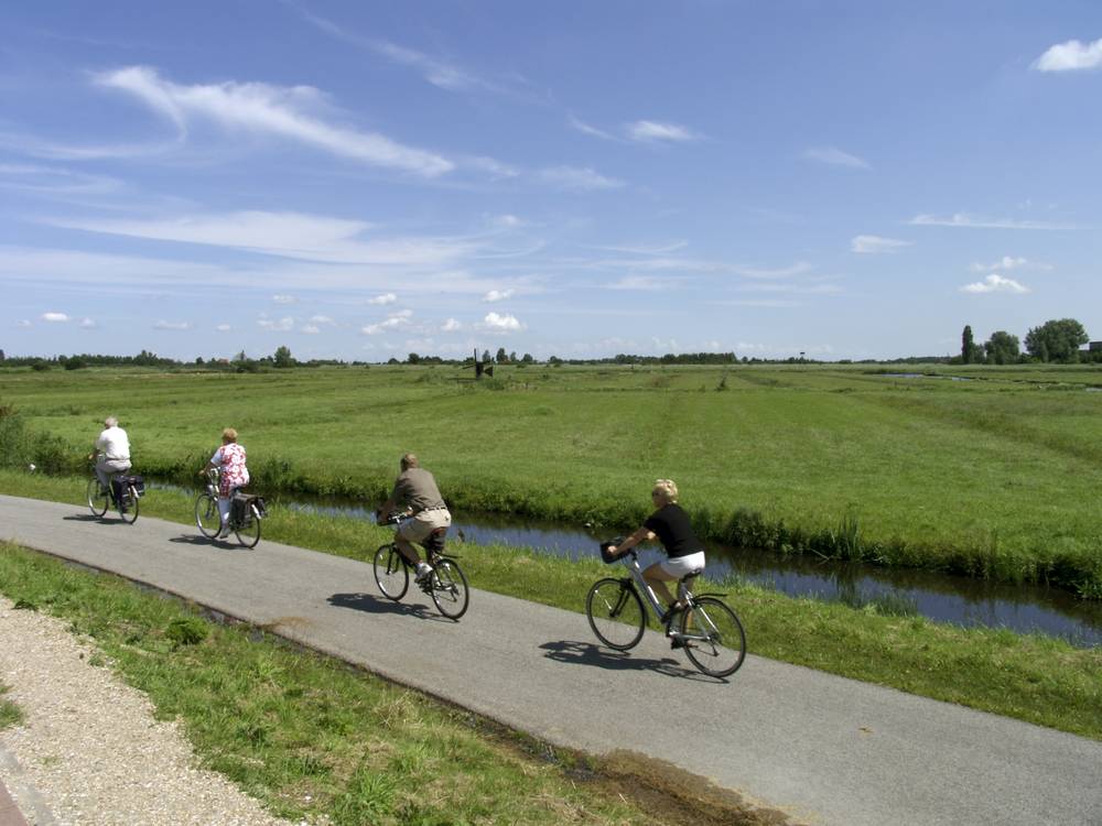 cyclist in polder the Netherlands