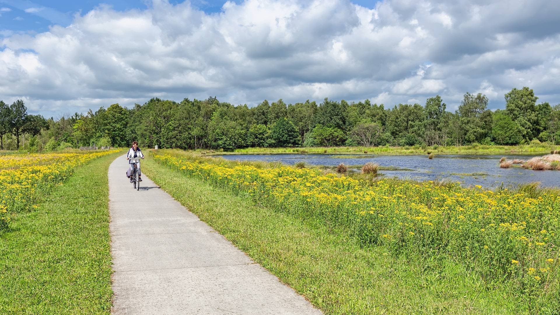 Woman on bike Dutch wetlands_HDR
