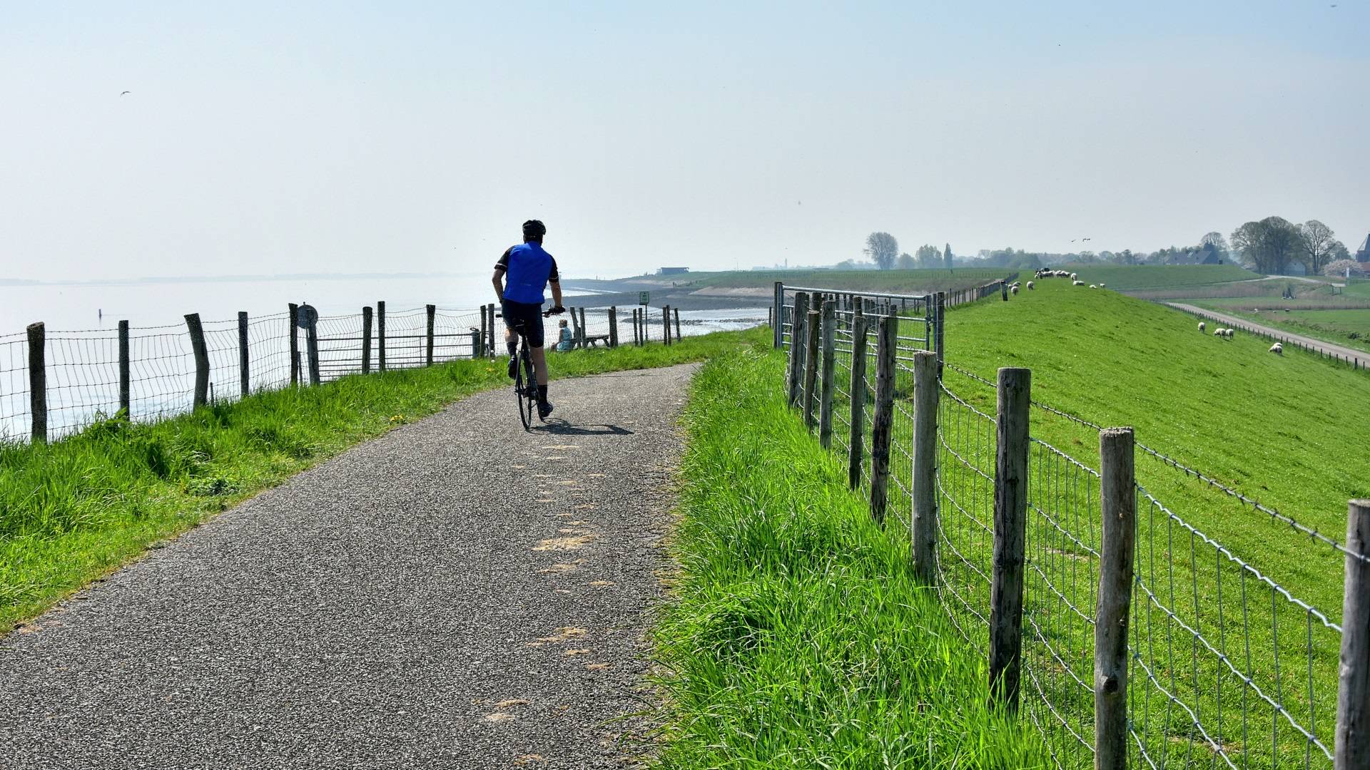 man bicycling on dike Zeeland_HDR