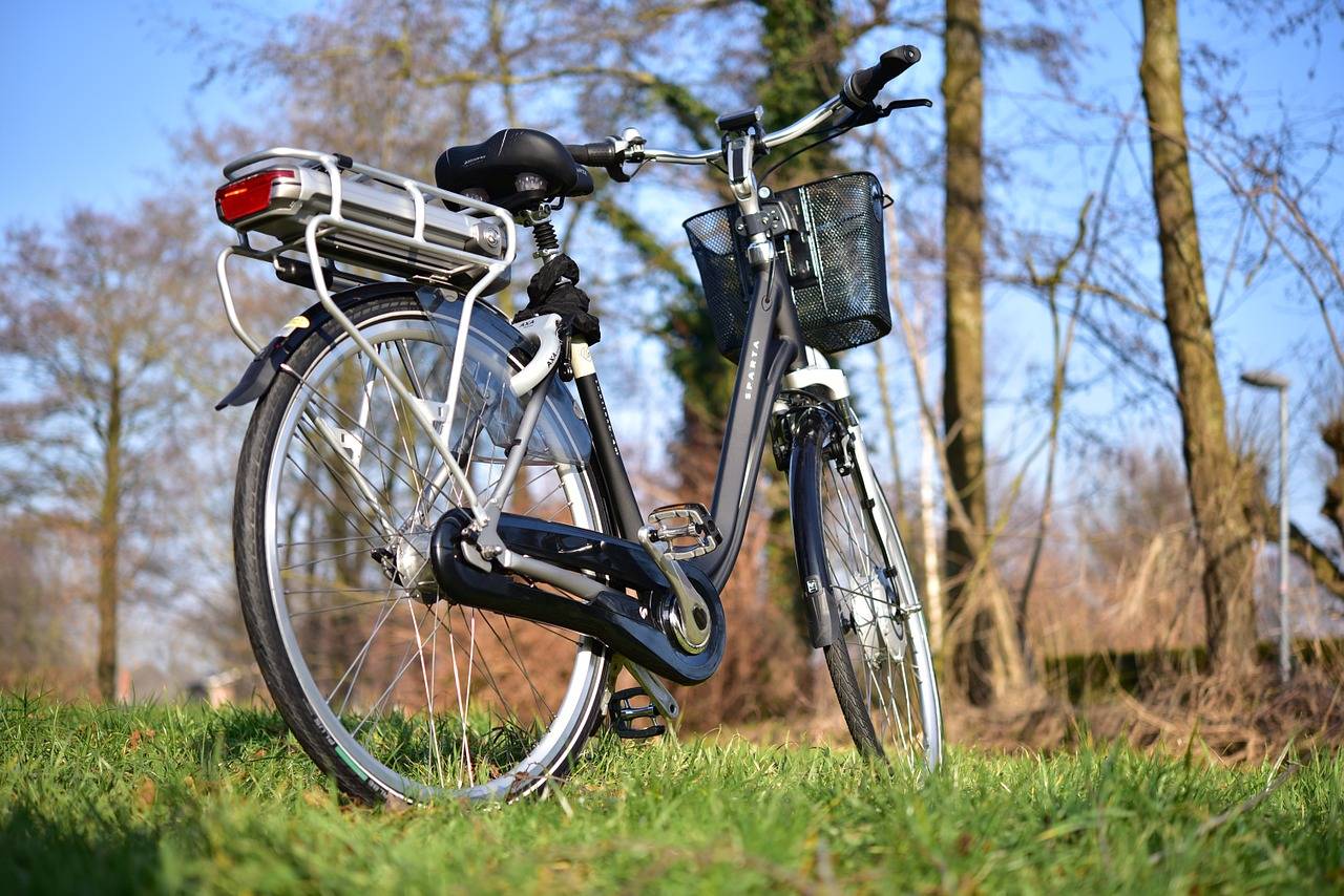 Sparta E-bike in landscape nature