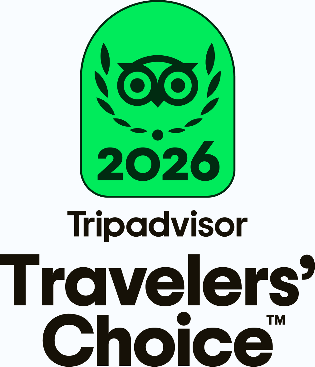 Holland Bike Tours 2026 Travellers Choic