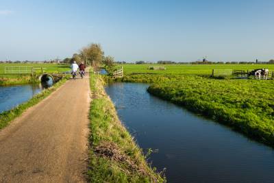 Dutch polder landscape the Netherlands c
