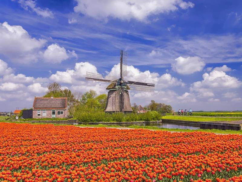 Typical Dutch landscape; windmill in a f