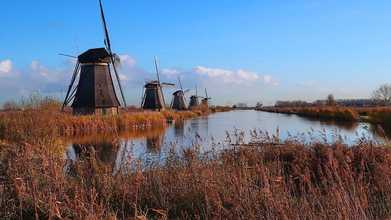 Windmills autumn brown Netherlands