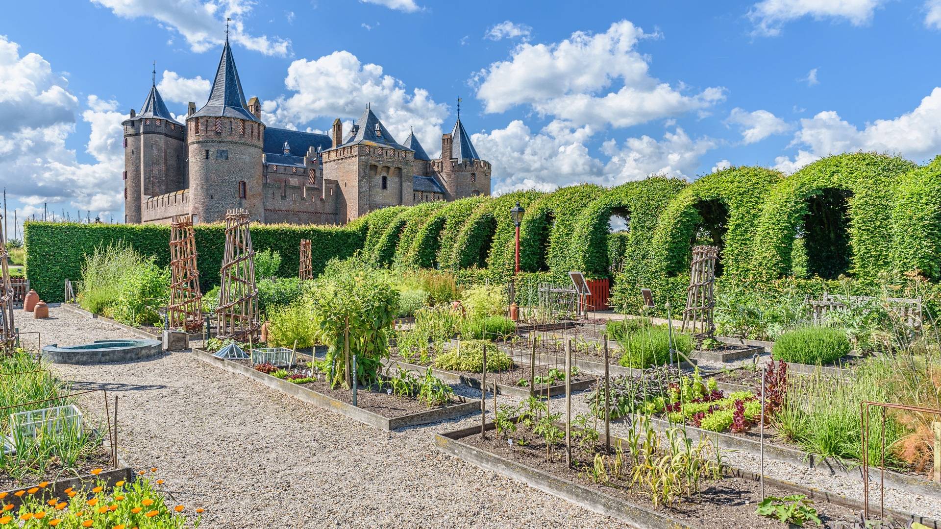 Vegetable gardens of Muiderslot castle_H